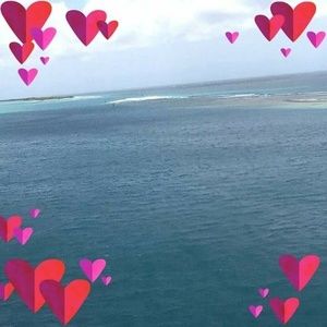 Meet your Posher, Ann